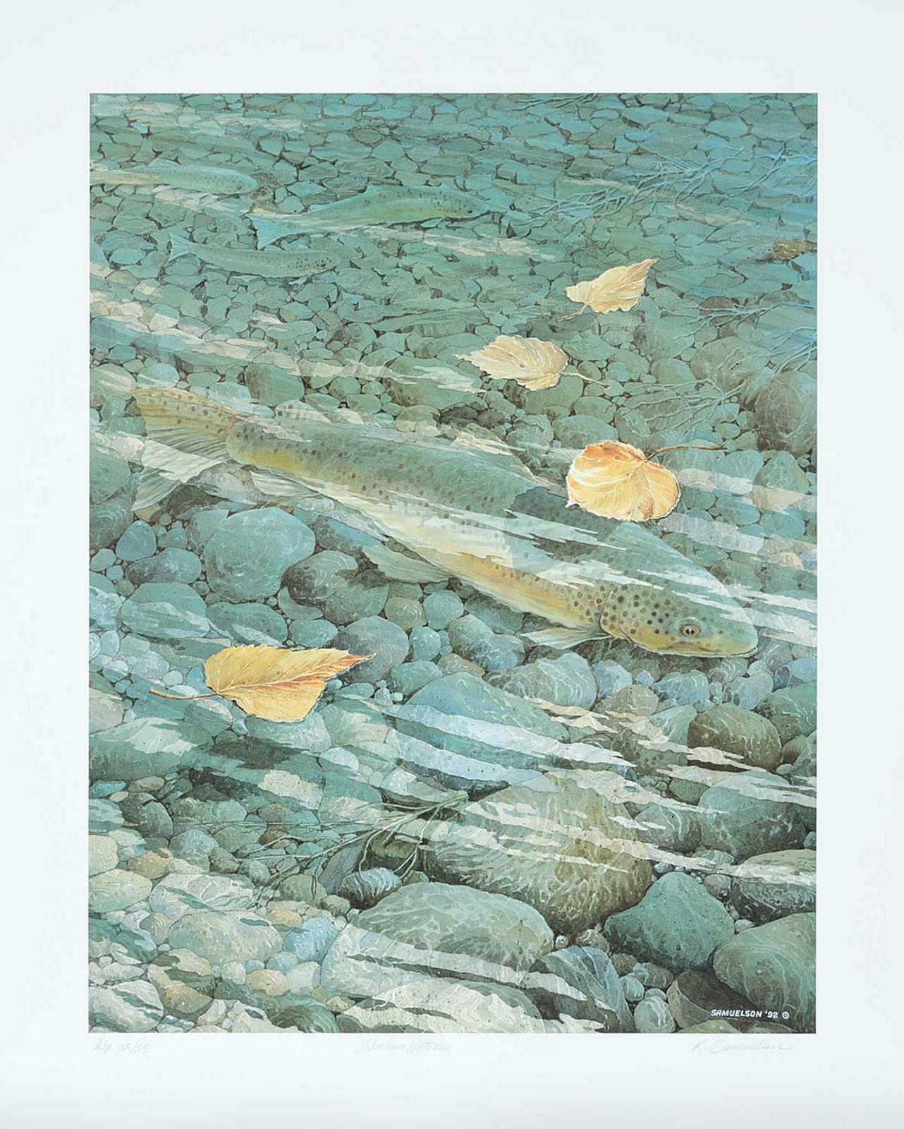 Ken Samuelson - Shallow Water #A/P #12/25