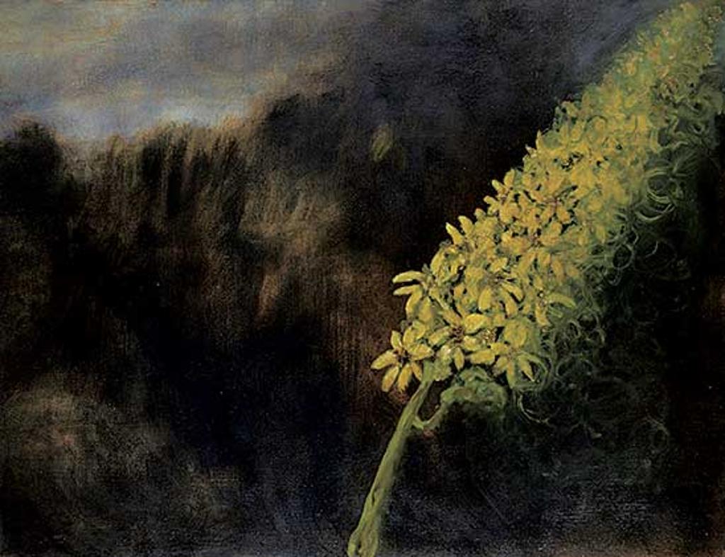Barbara Milne (1956) - Bloom III