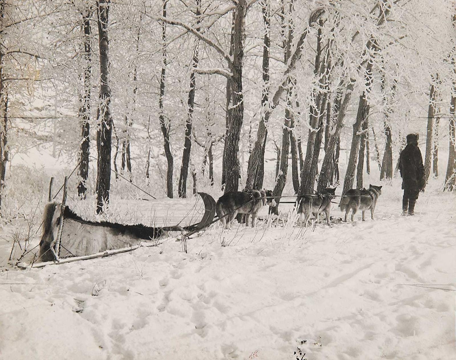 Harry Pollard (1880-1968) - Untitled - Photo of a Dog Sled