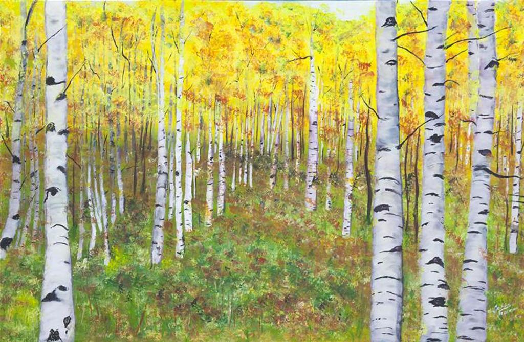Jo Ann Fahlman - Saskatchewan Birch Grove