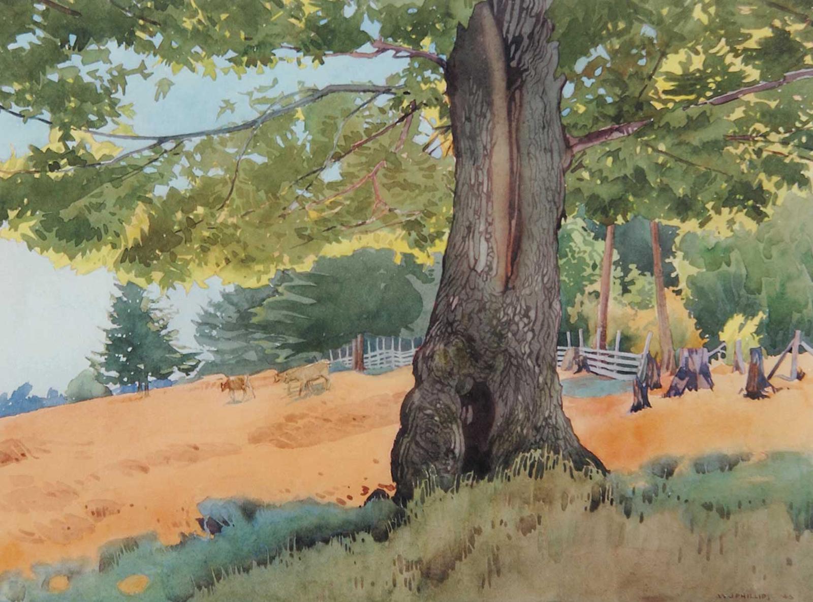 Walter Joseph (W.J.) Phillips (1884-1963) - Pasture at Saanich, B.C.