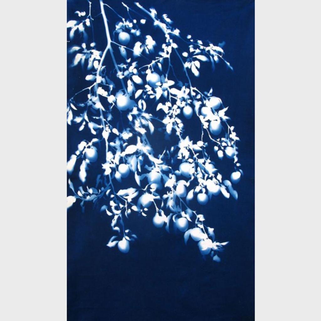 Andrew Owen - Large Apple Branch