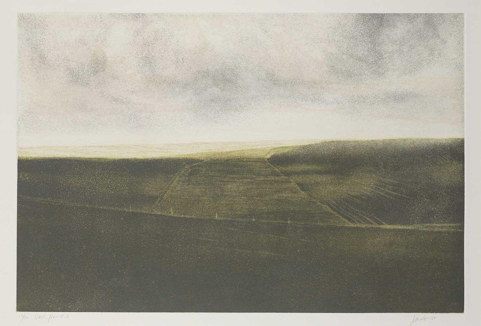 Takao Tanabe (1926) - Dark Prairie, II #17/30