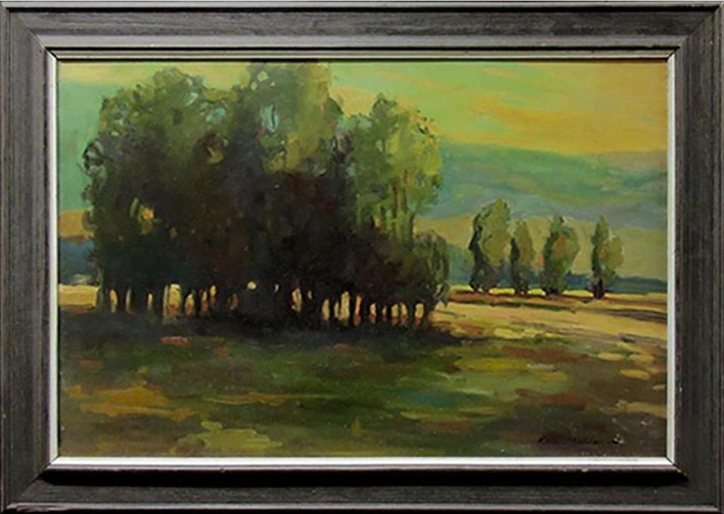 Kevin Mcpherson - Light & Shade