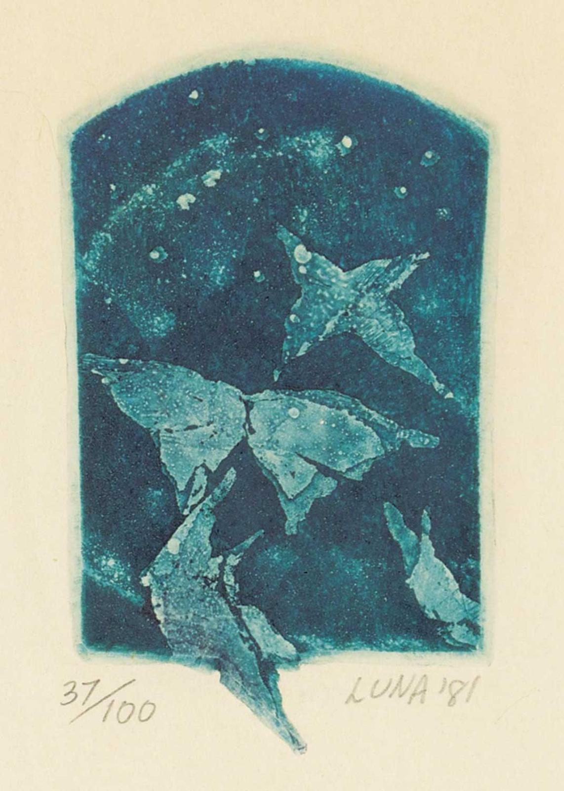 Luna - Untitled - Butterflies at Night
