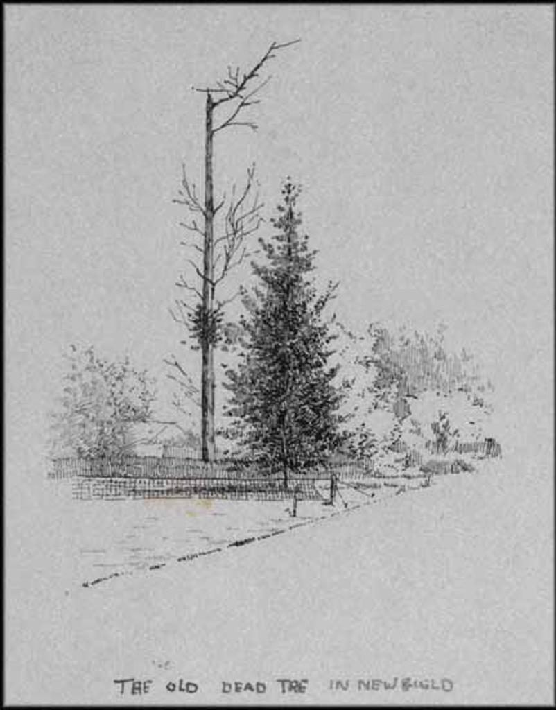 Emily Carr (1871-1945) - A Collection of Ten Drawings