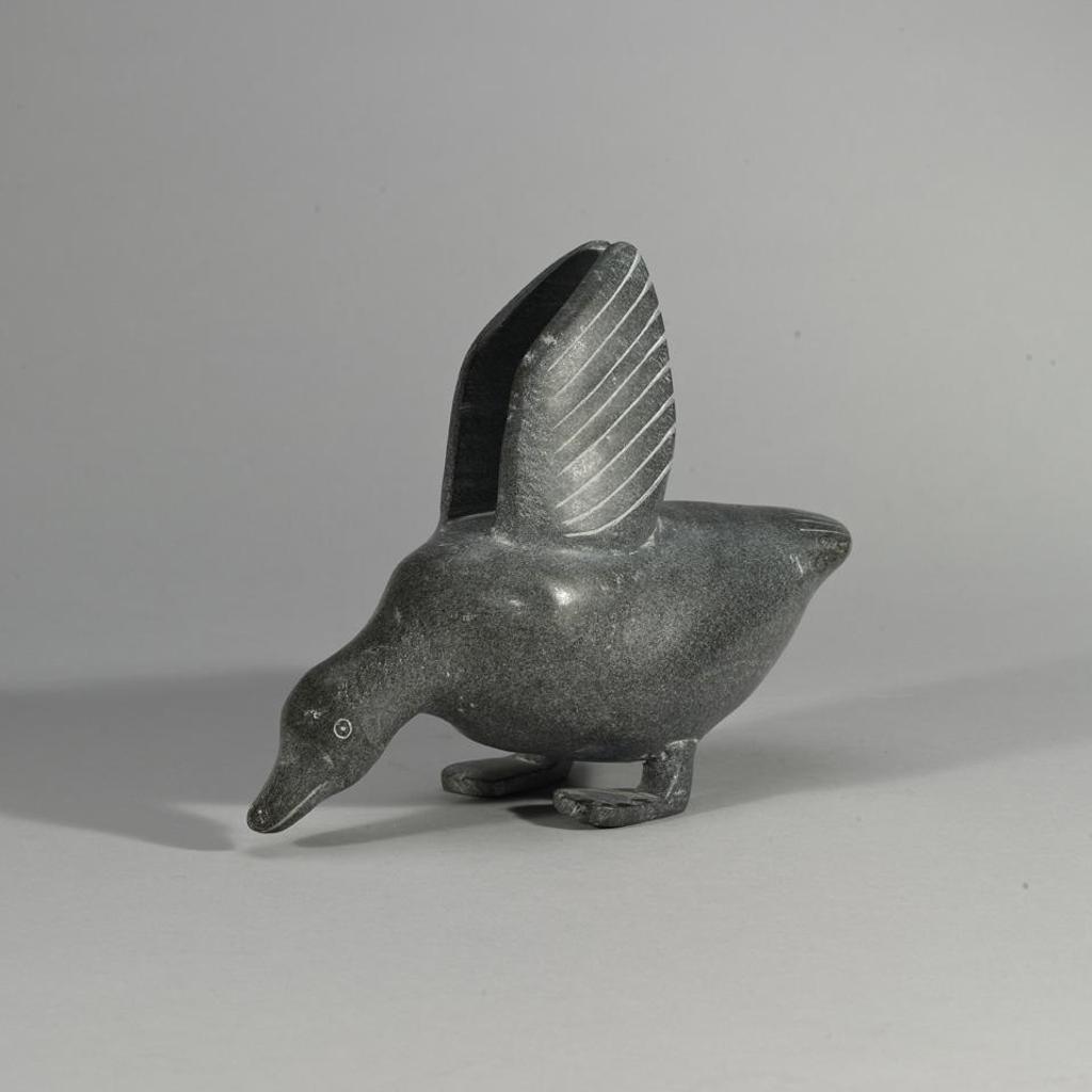 Tuqiqi Toonoo (1964) - Bird