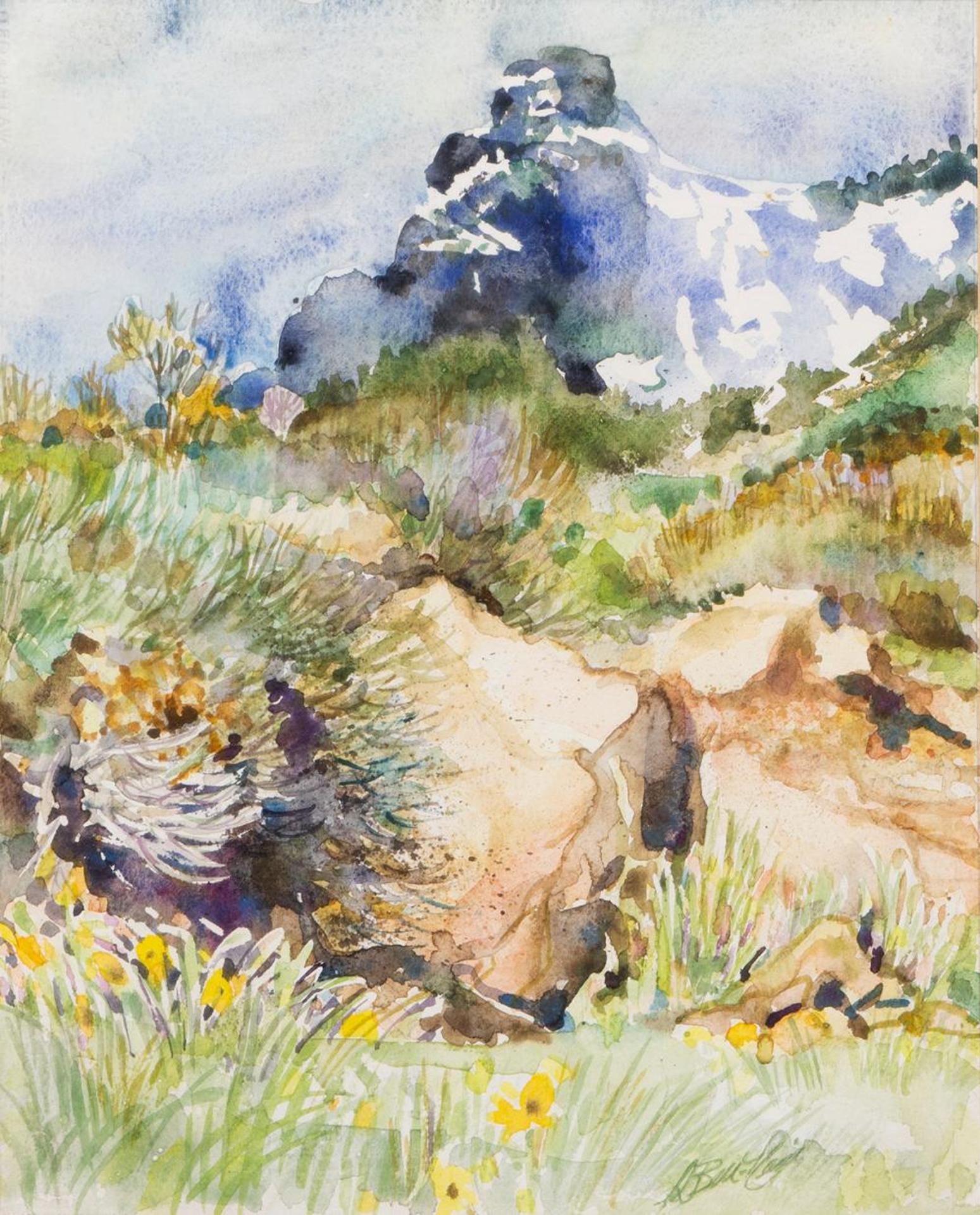 Lenore Bell-Reid - Lamoille Pass