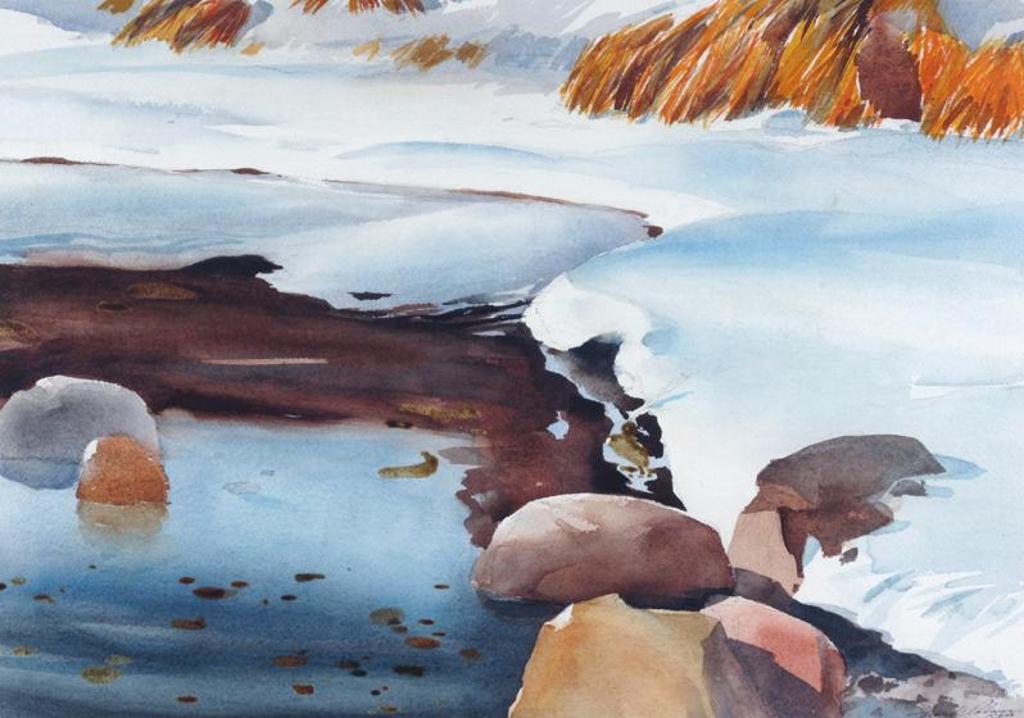 Herbert Franklin (Frank) Palmer (1921-1990) - Winter Pond