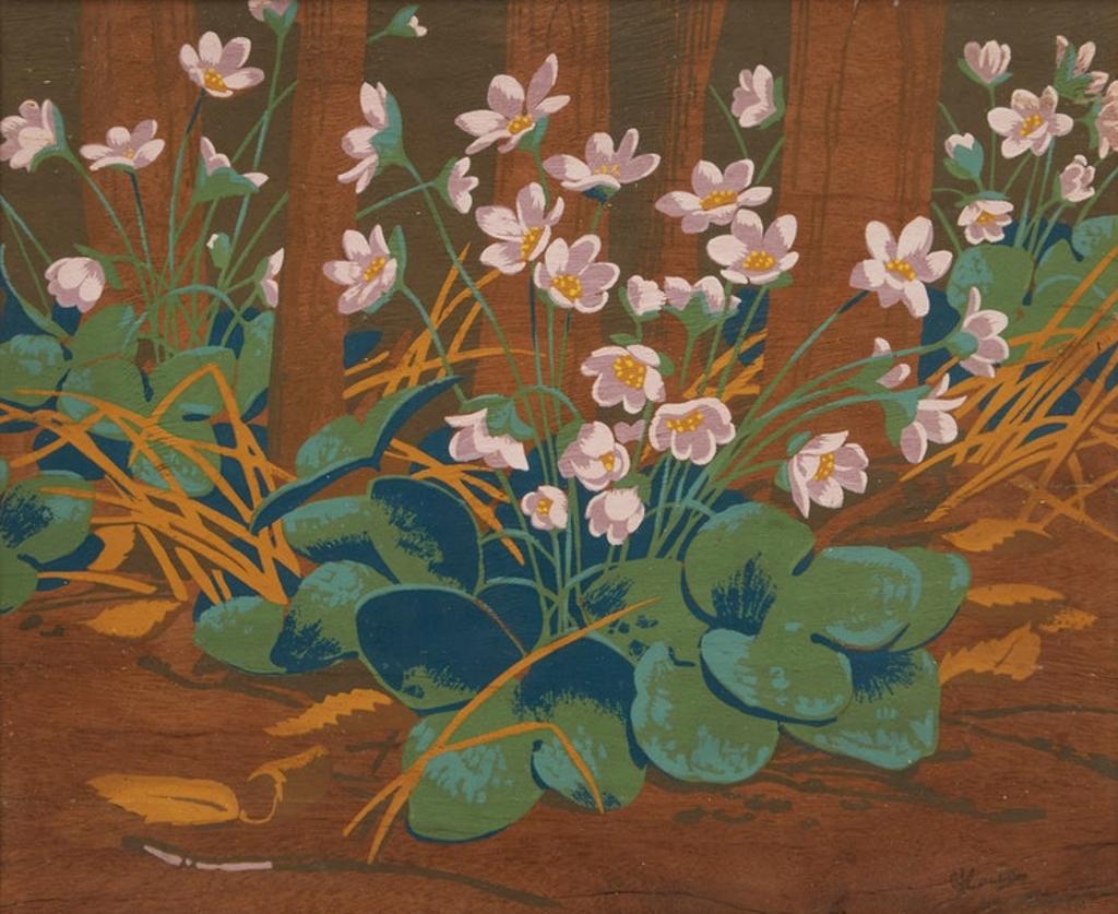 Alfred Joseph (A.J.) Casson (1898-1992) - Round Lobed Hepatica
