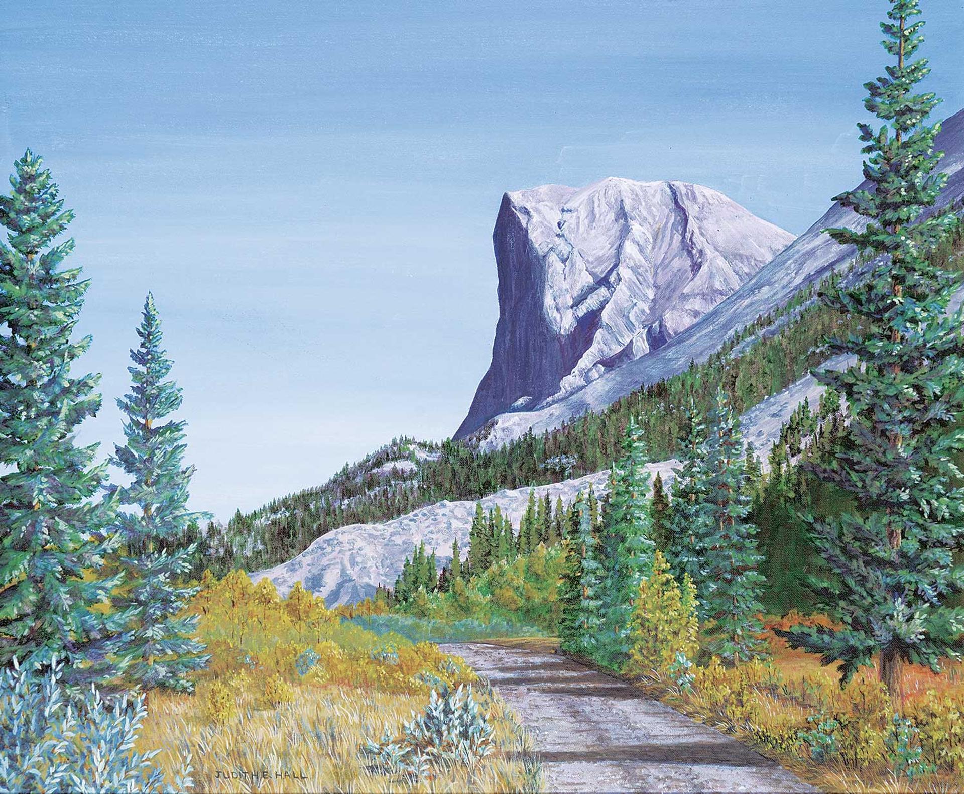 Judith E. Hall - Gibraltar Mtn. [Sheep Creek Forestry Road]