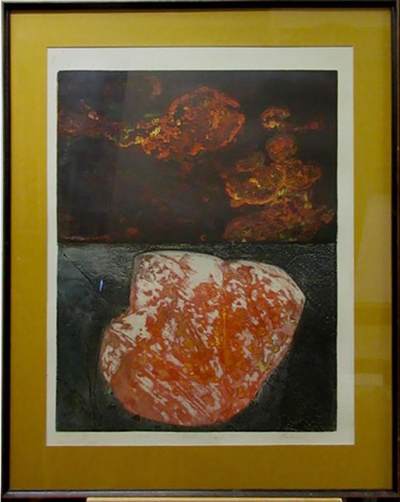 Edward John (Ted) Bartram (1938-2019) - Rock - Northern Image Series