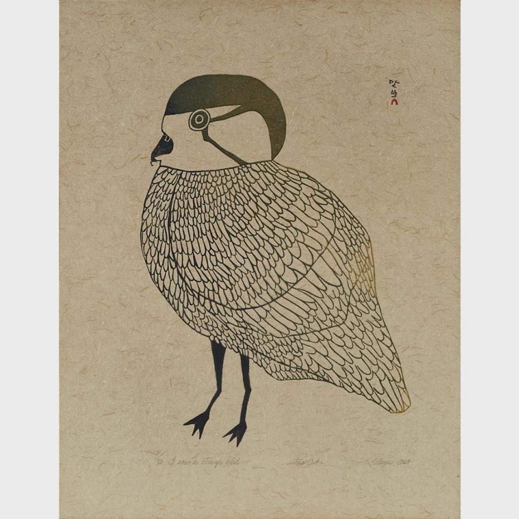 Ulayu Pingwartok (1904-1978) - I Saw A Strange Bird