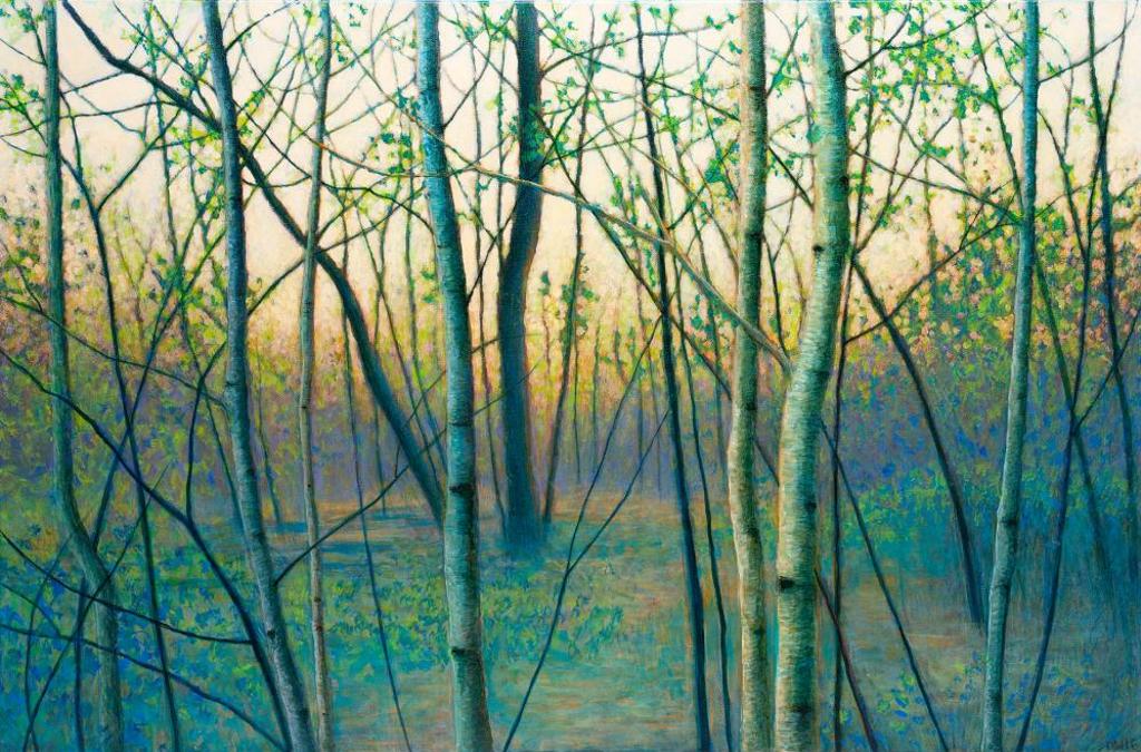 Debbie Wozniak-Bonk (1974) - Setting Sun