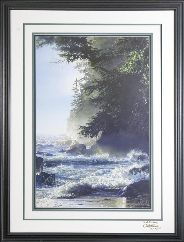 Carol Evans - Afternoon High Tide