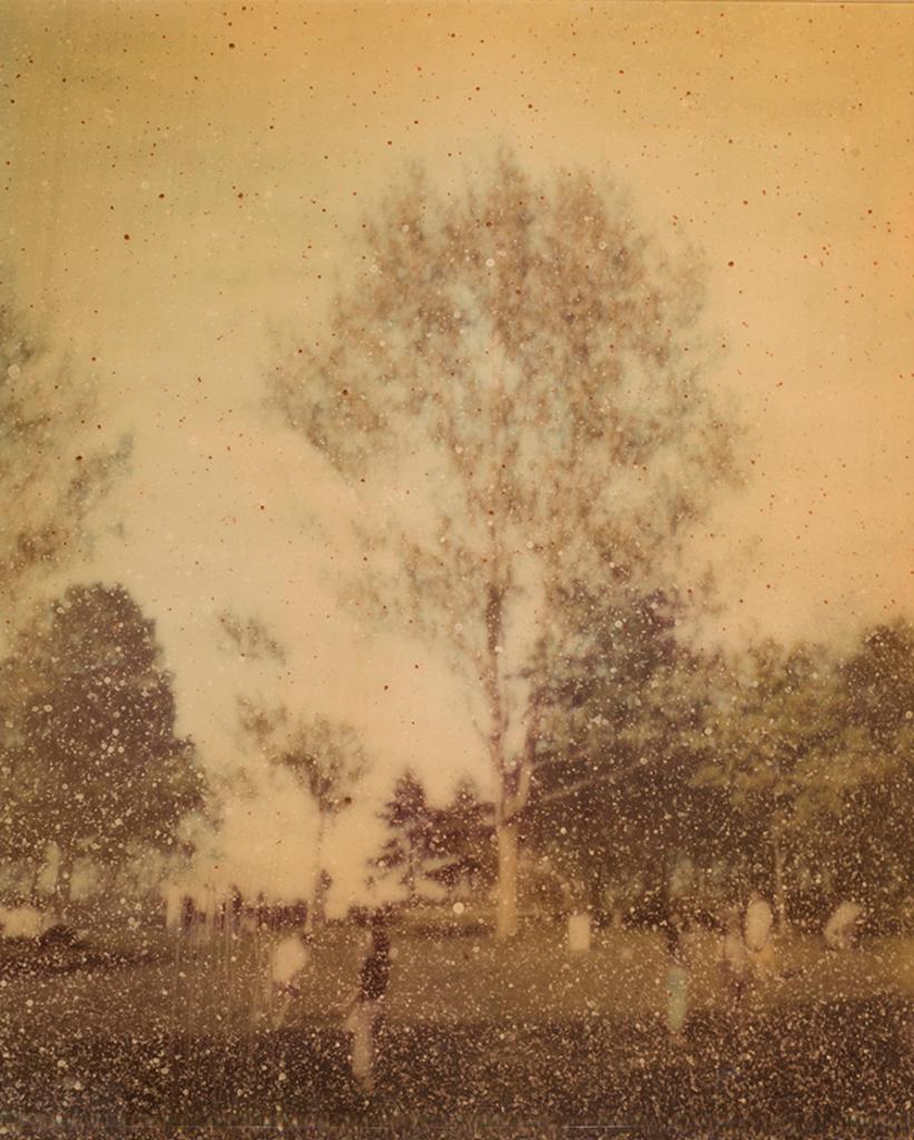 Joshua Jensen-Nagle (1981) - Tree