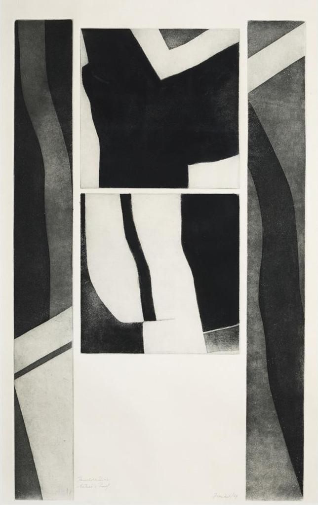 Vera Frenkel (1938) - Household Shrine