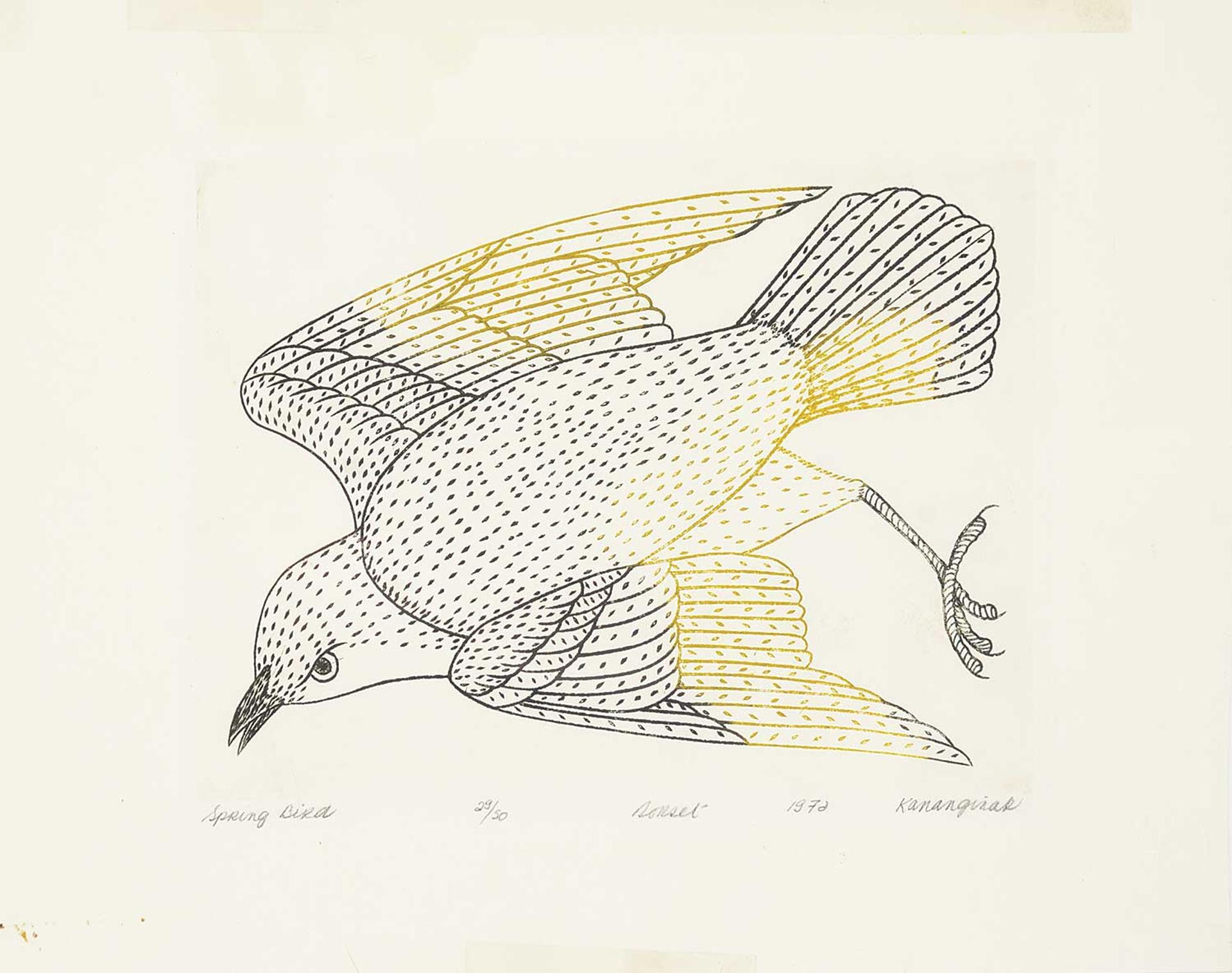 Kananginak Pootoogook (1935-2010) - Spring Bird #29/50