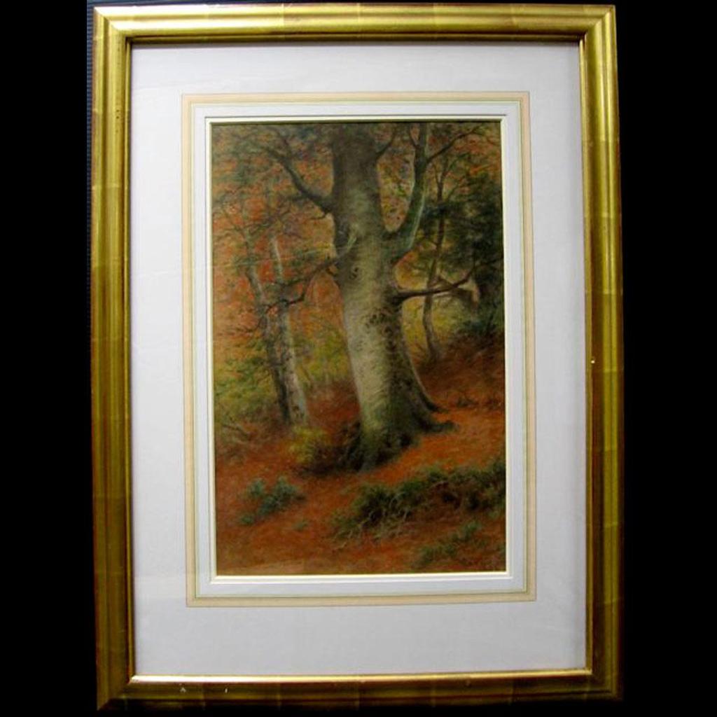 Frederick Arthur Verner (1836-1928) - Woodland Study