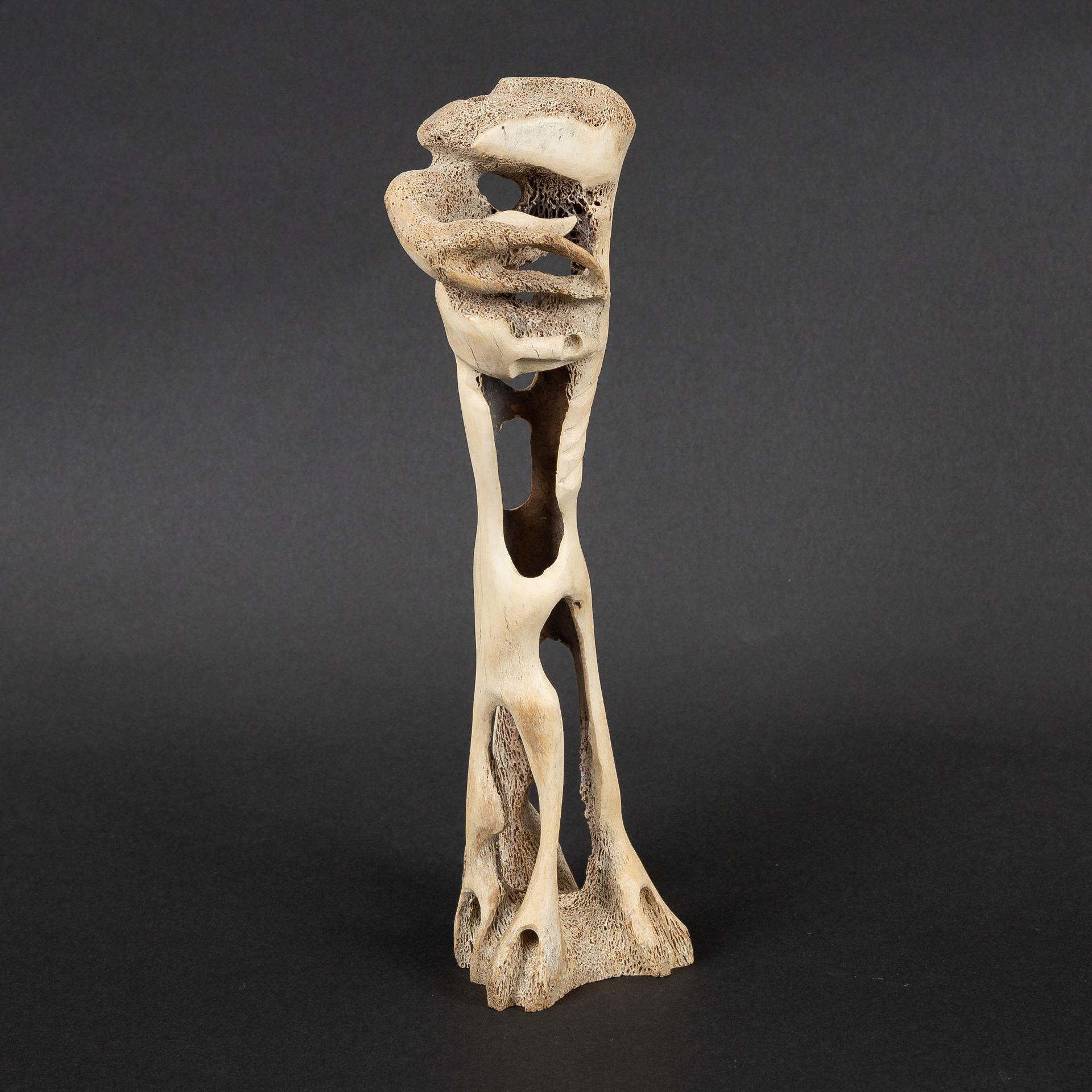 Alex Alikashauk - Abstract Figure