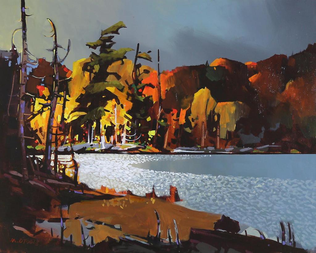 Michael O'Toole (1963-2018) - Cache Lake (And The Remains Of The Day)