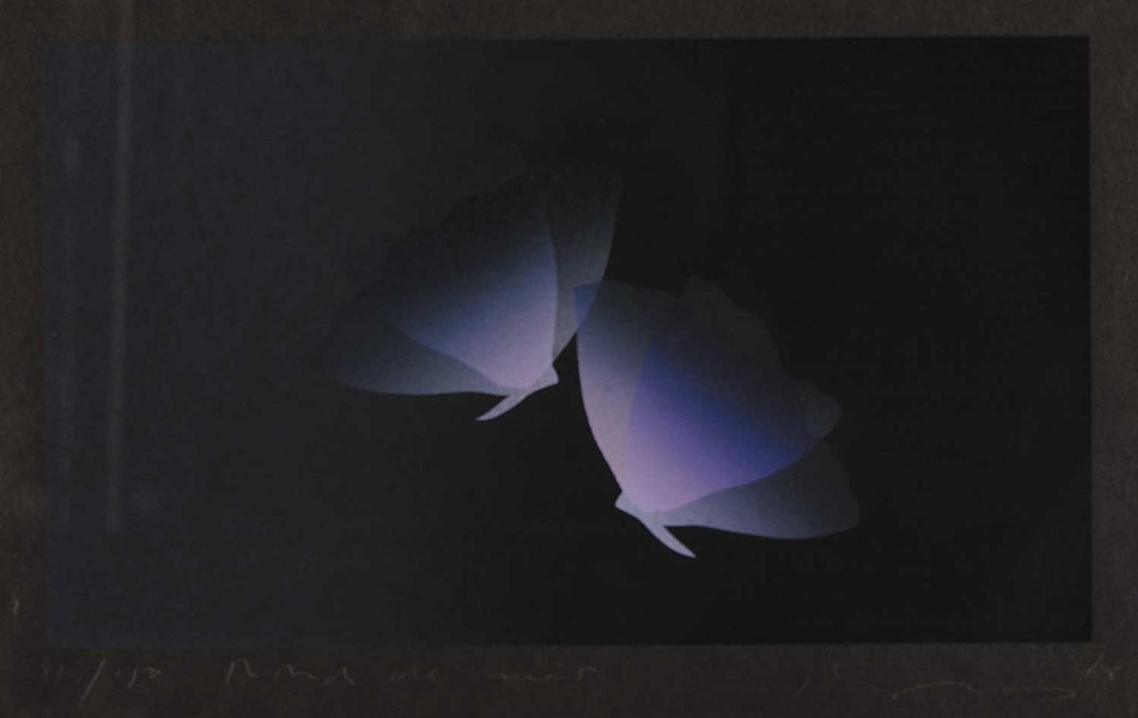Inoue Kozo - Two Butterflies #113/150