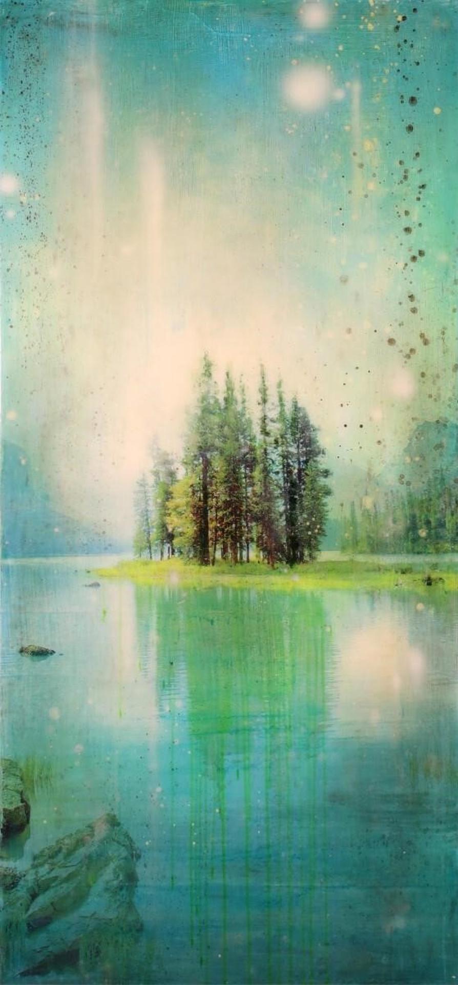 Steven Nederveen (1971) - Spirit Island; 2015