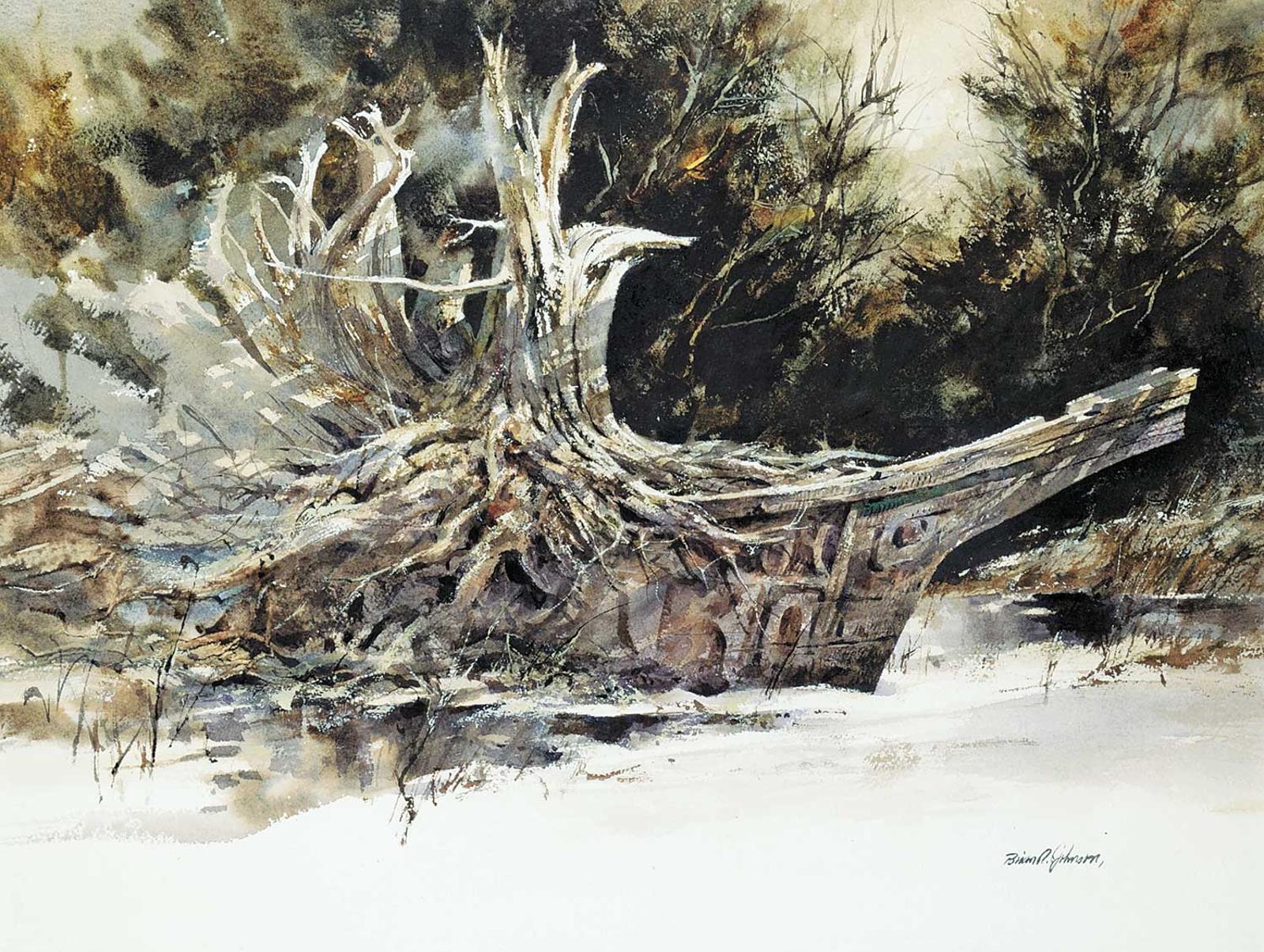Brian R. Johnson (1932) - Shaman
