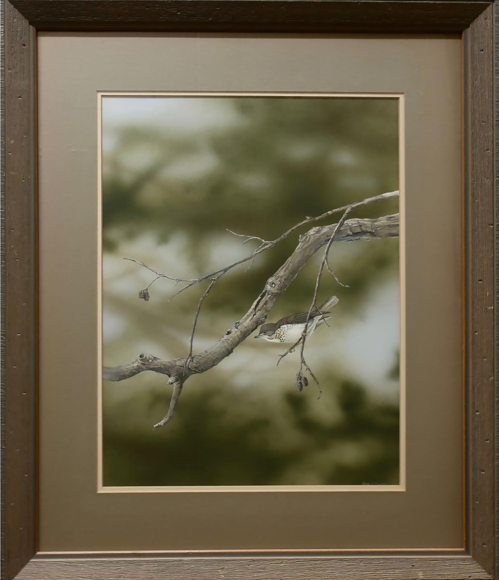 Gary A. Pulham (1956) - Bird On A Branch