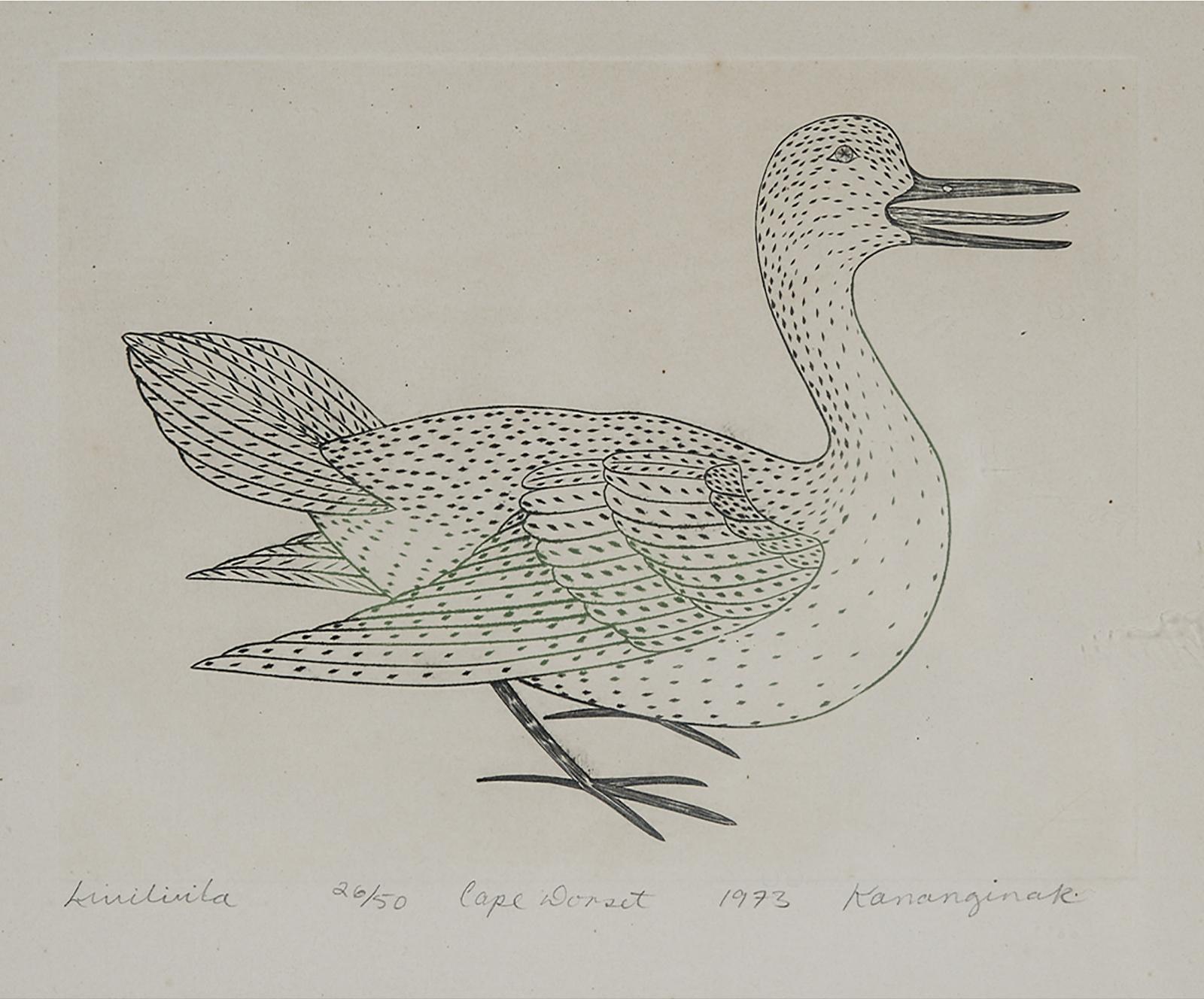 Kananginak Pootoogook (1935-2010) - Livilivila