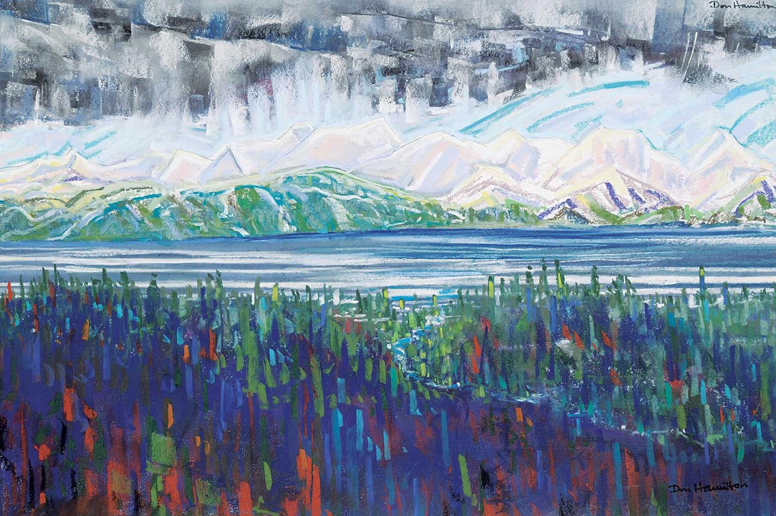 Don Hamilton - Front Range Storm
