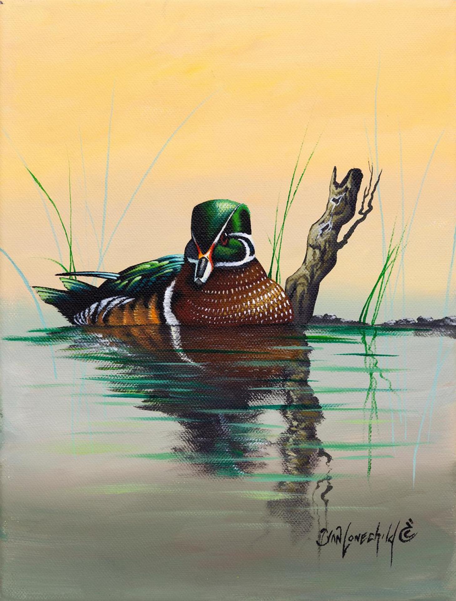 Ivan C. Lonechild (1953) - Untitled - Duck