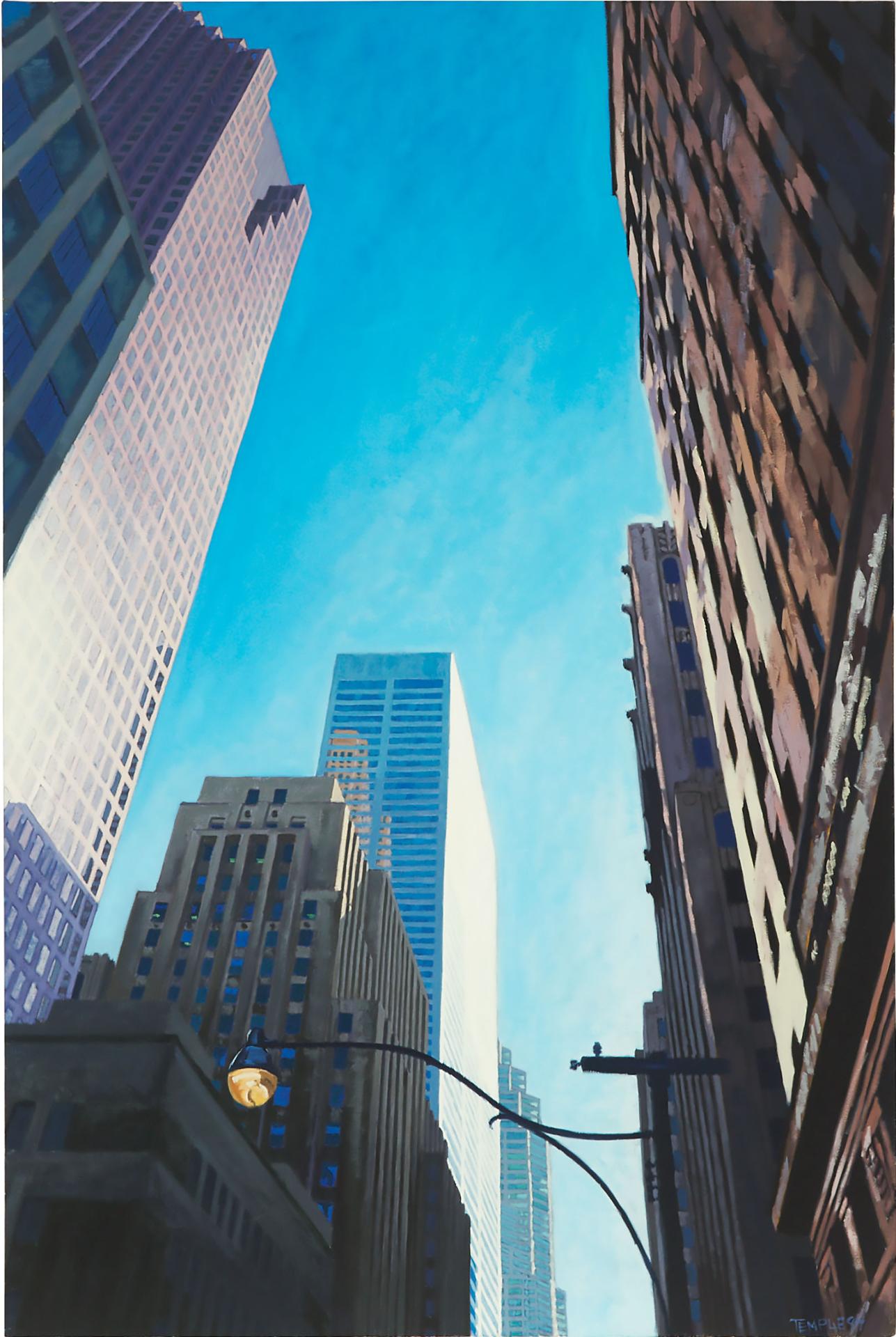 Chris Temple (1957) - Everything You Need To Know About Bay St #4, 1994