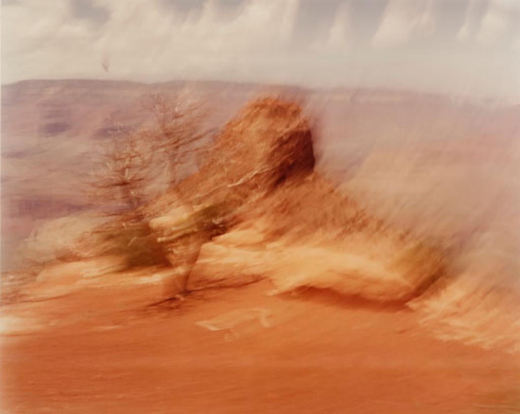 Alex Neumann - Hawk, Cedar Rdige, Grand Canyon (03641/294)