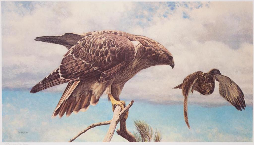 George Elson Mclean (1939) - Red-Tailed Hawk