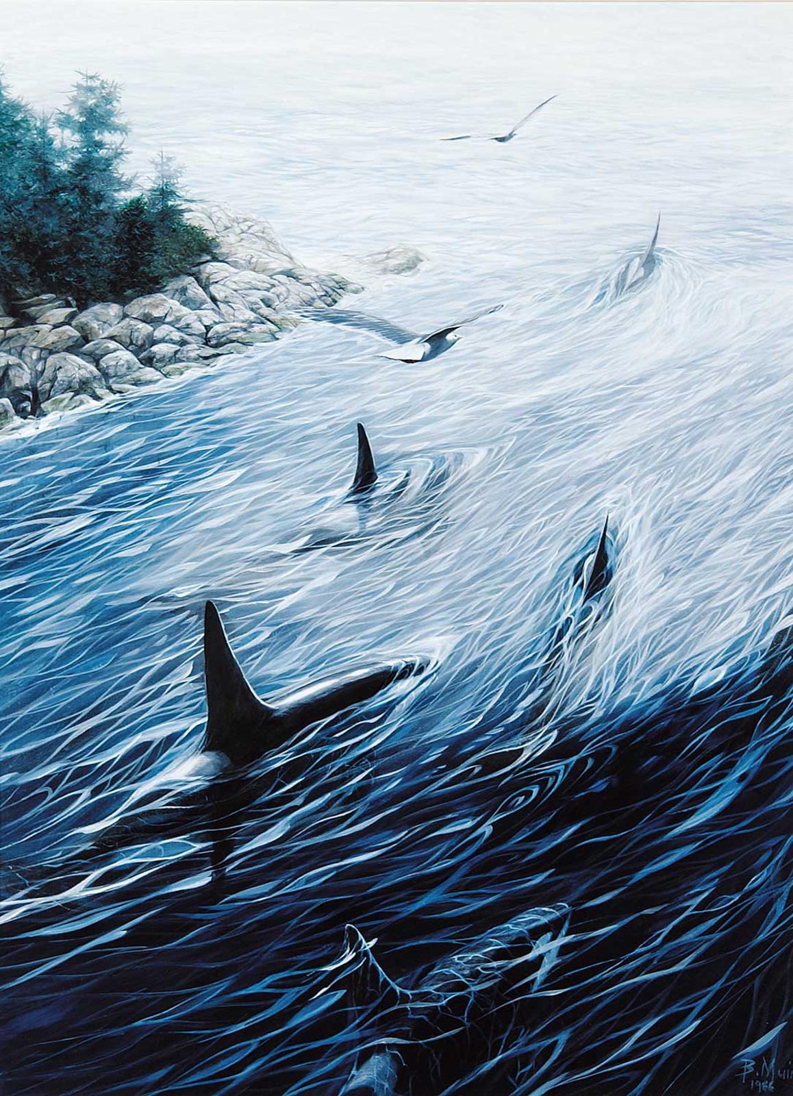 Bruce Muir (1953) - Gull's View