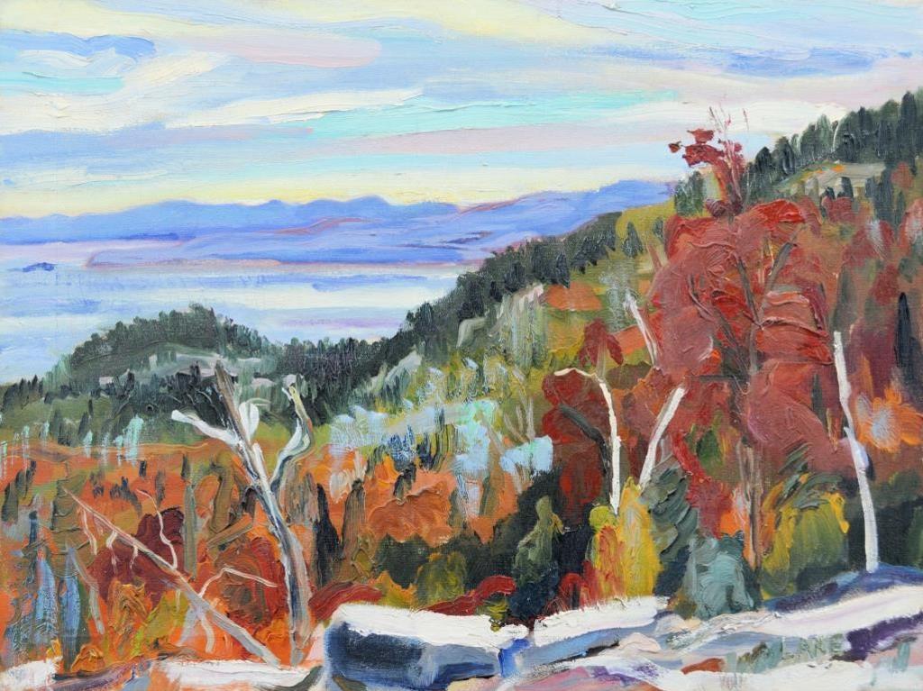 David Charles Lane - Algoma Solitude