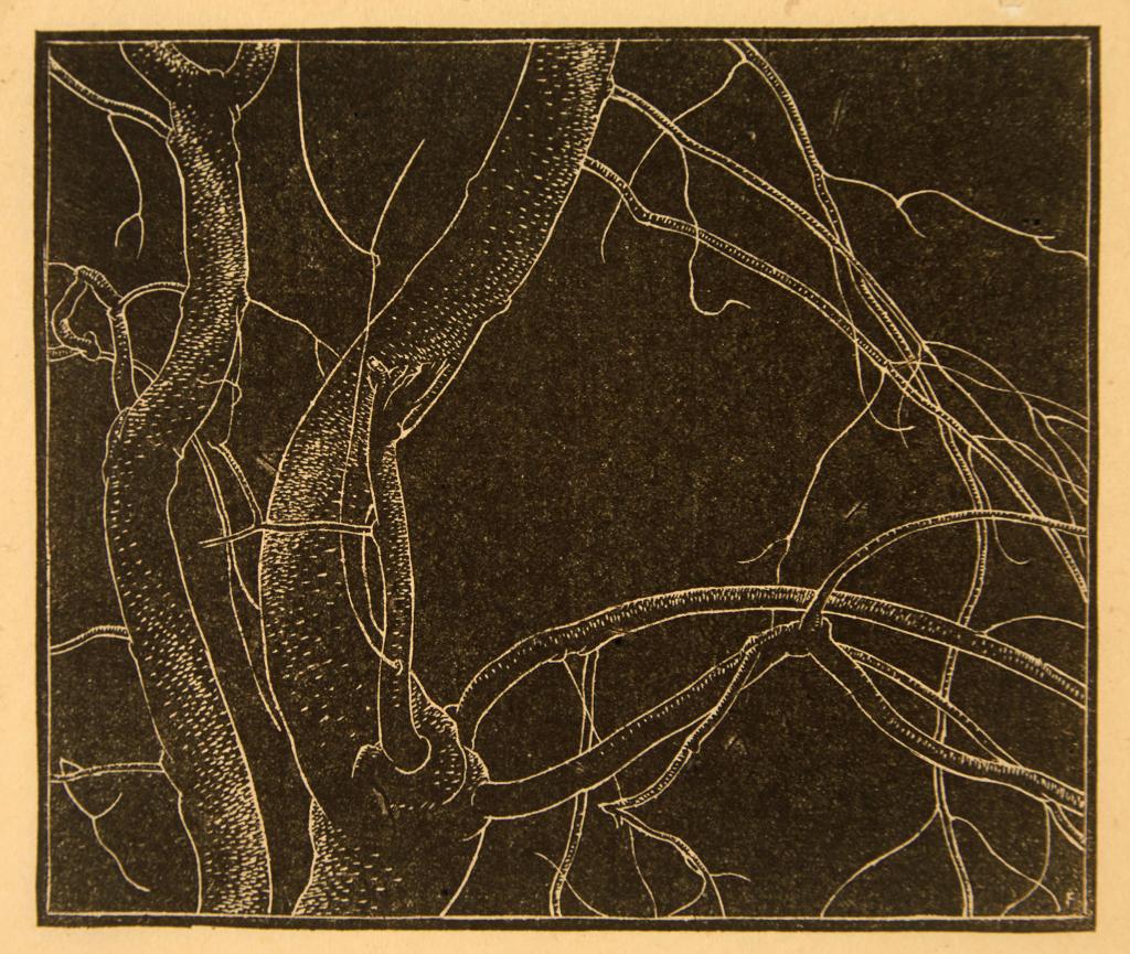 Lionel Lemoine FitzGerald (1890-1956) - Branches
