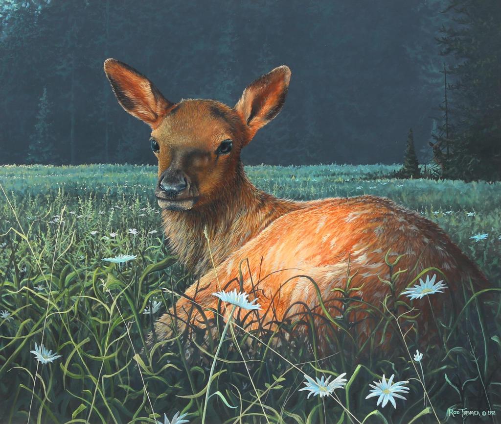 Rod Tribiger - 26 x 30 in
