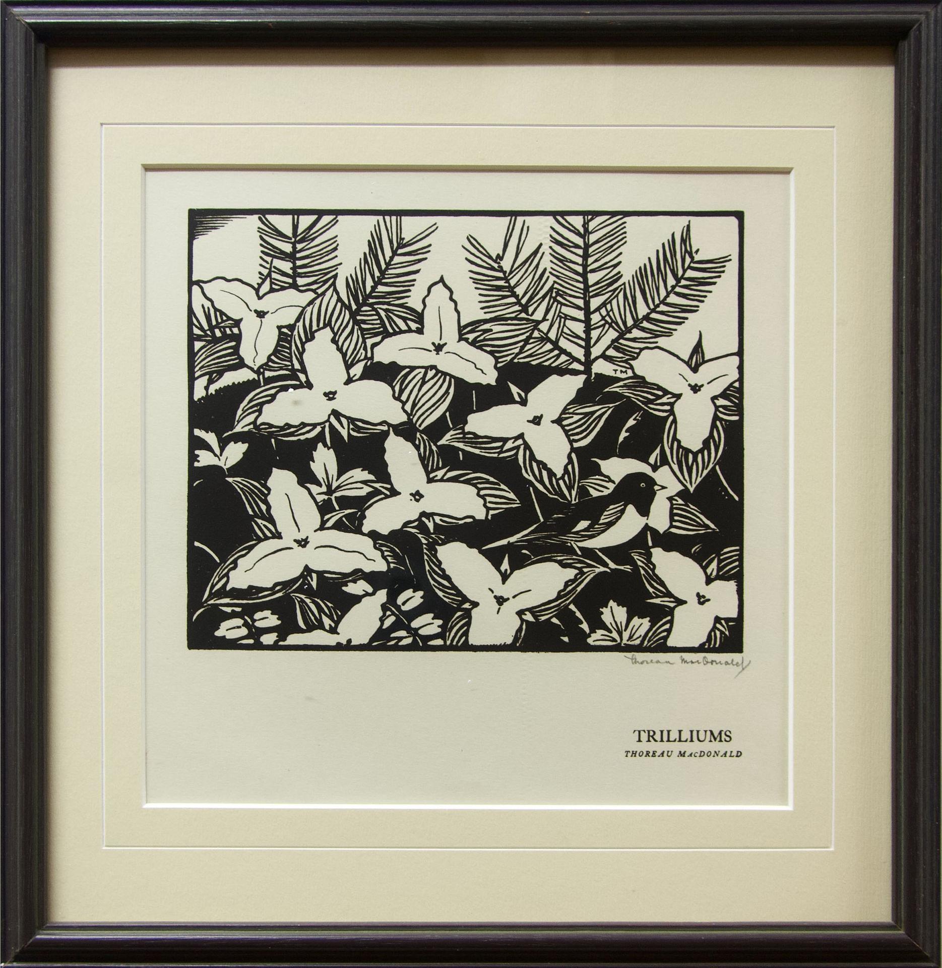Thoreau MacDonald (1901-1989) - Trilliums