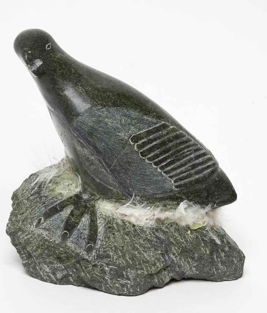 Donny Pitsiulak (1961) - Bird Nesting