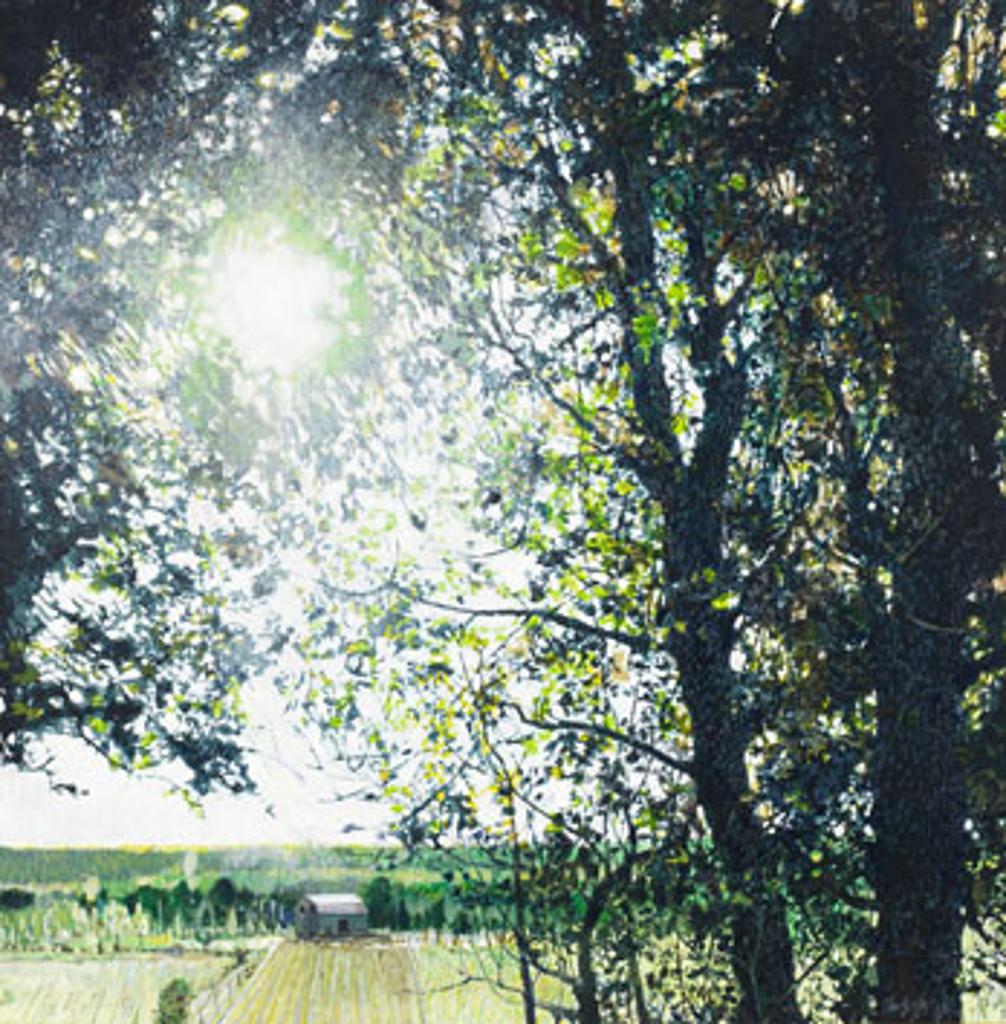 Ronald (Ron) William Bolt (1938-2019) - Summer Haze