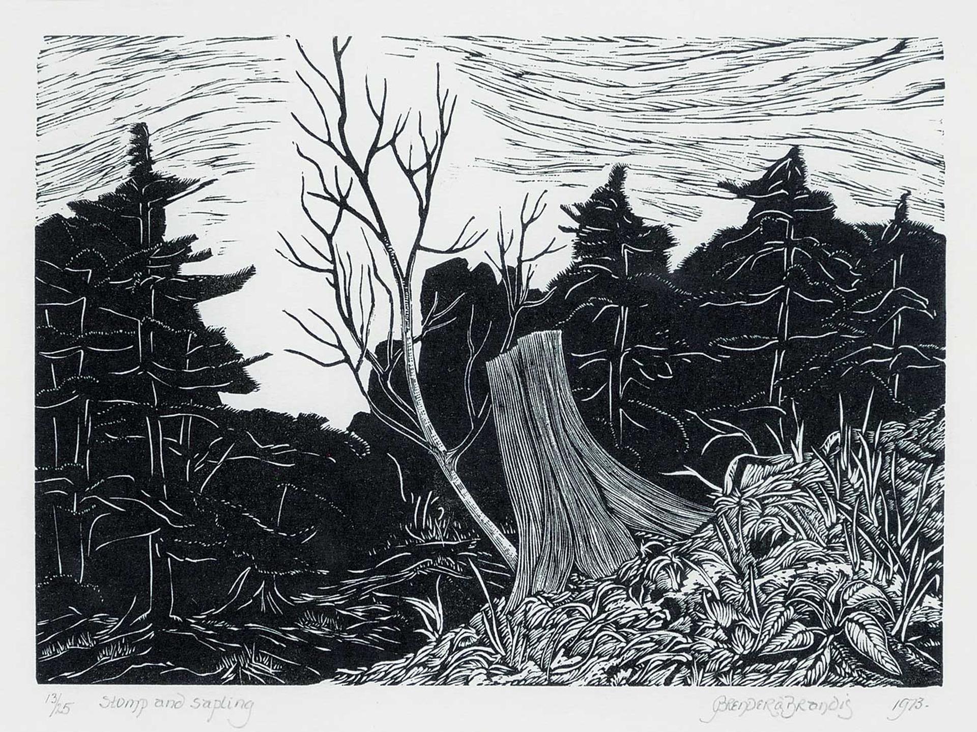 Gerard William Brender a Brandis (1942) - Stump and Sapling  #13/25