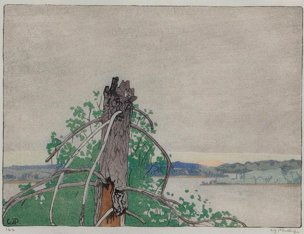 Walter Joseph (W.J.) Phillips (1884-1963) - The Stump, Lake Of The Woods