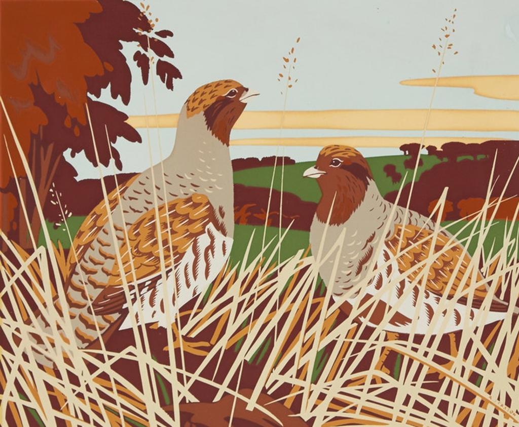 Alfred Joseph (A.J.) Casson (1898-1992) - European Partridge