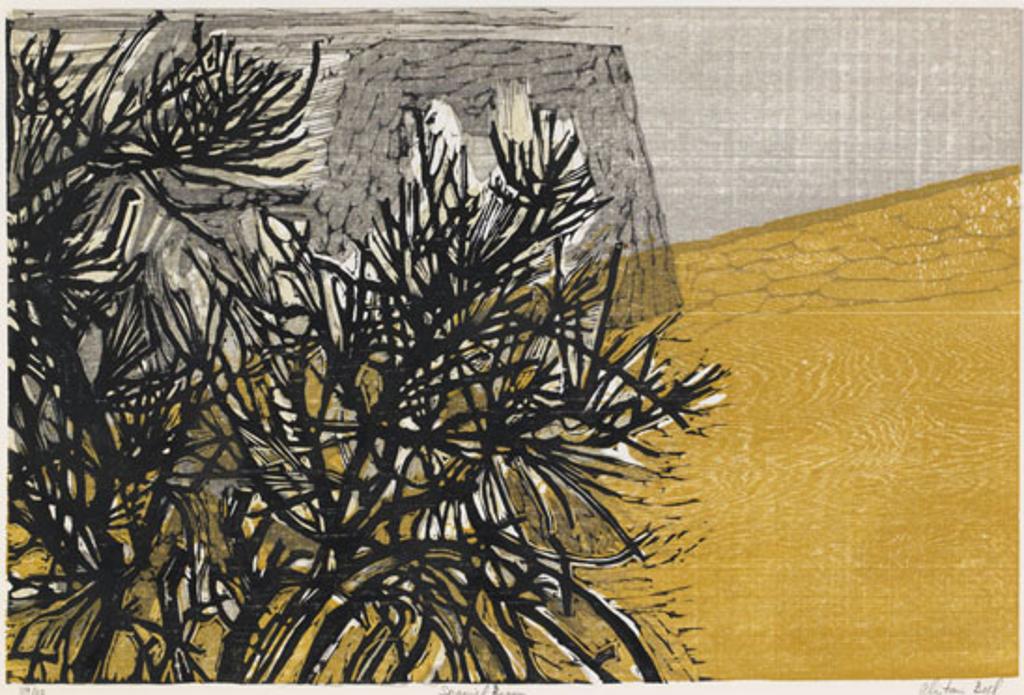 Alistair Macready Bell (1913-1997) - Spanish Broom