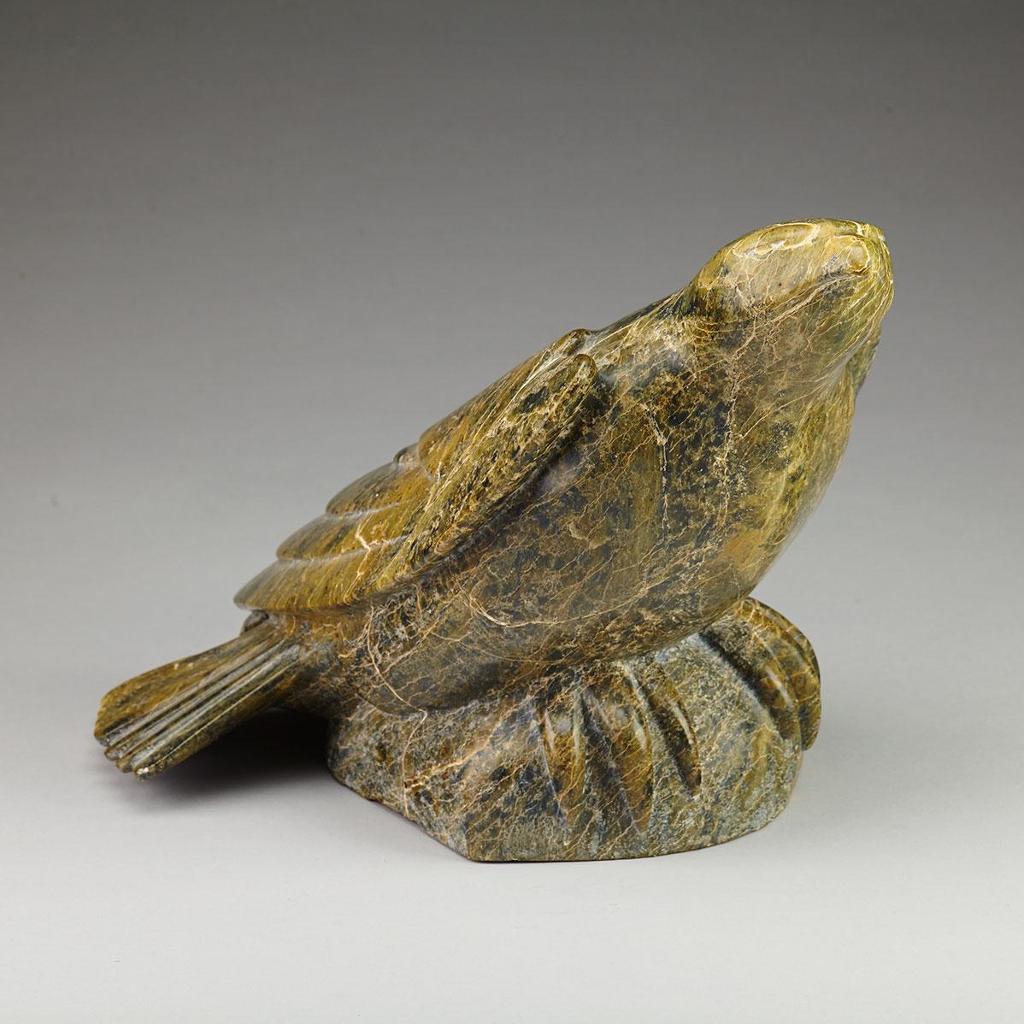 Oviloo Tunnillie (1949-2014) - Falcon