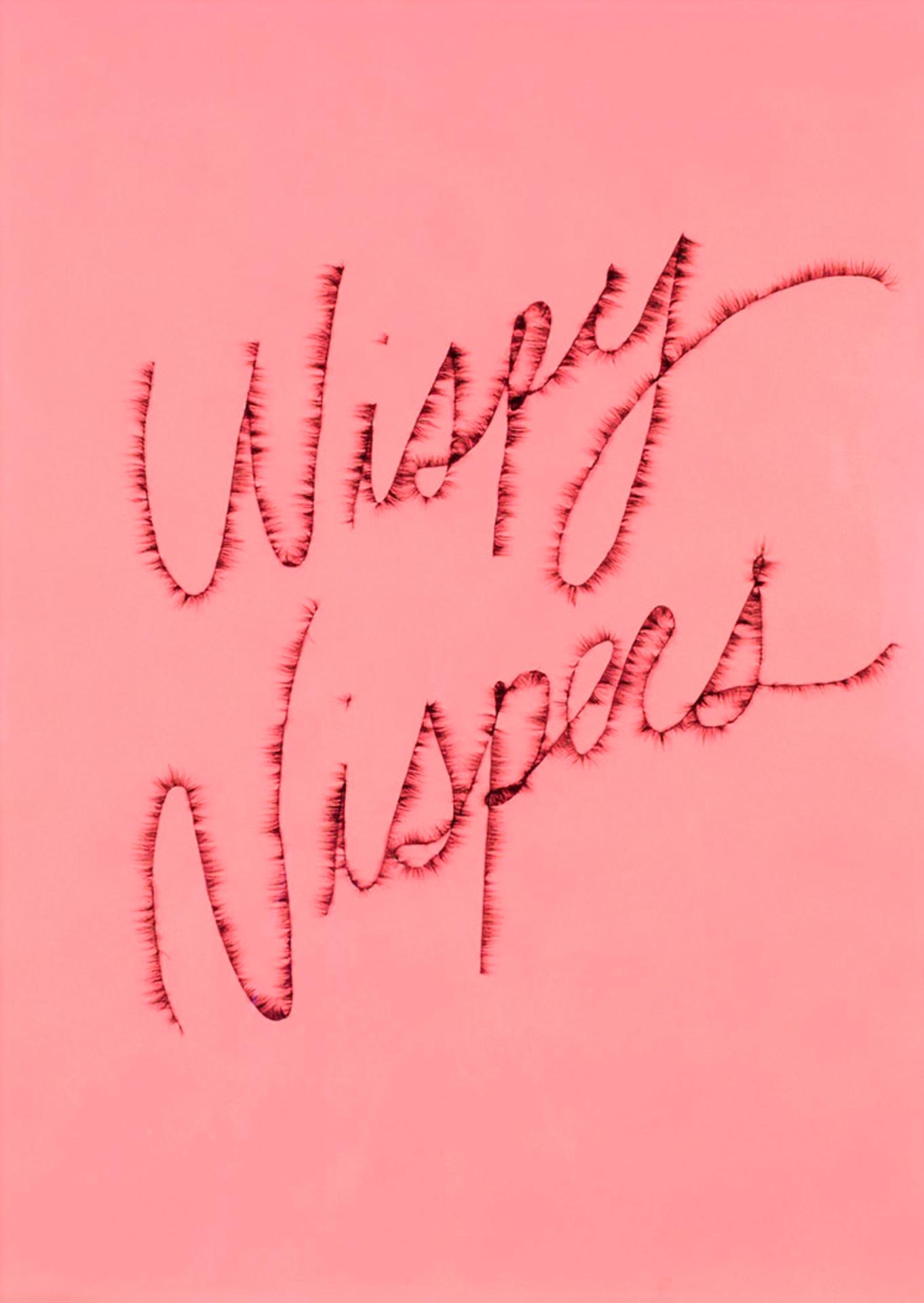 Ben Skinner (1977) - Wispy Nispers