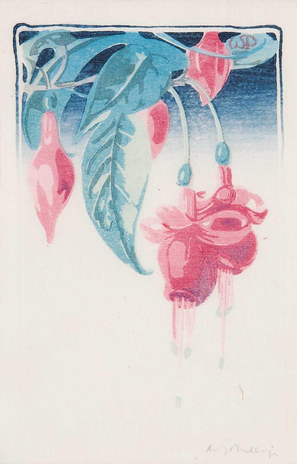 Walter Joseph (W.J.) Phillips (1884-1963) - Fuchsia