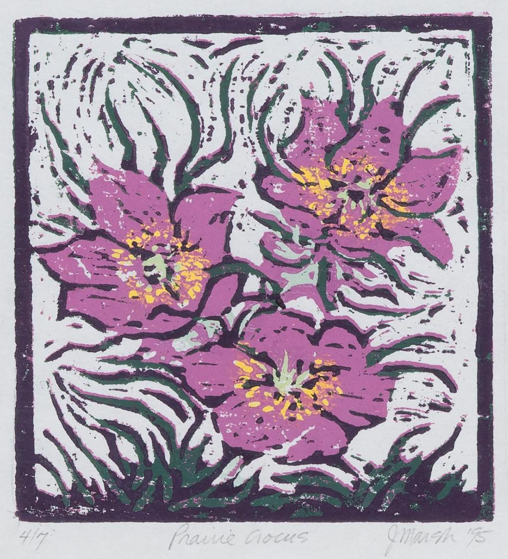 Jan Marsh - Prairie Crocus
